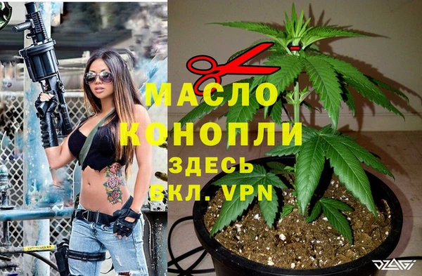 СК Богородск