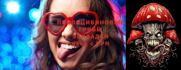 СК Богородск