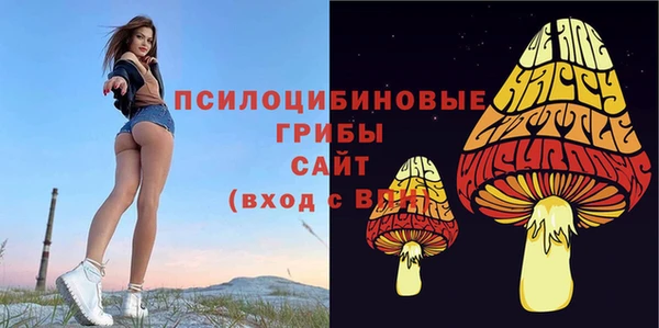 СК Богородск