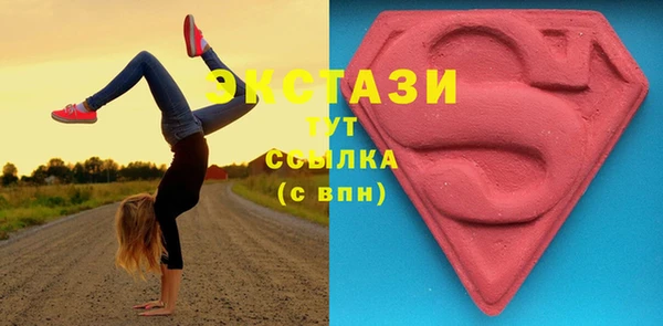 СК Богородск