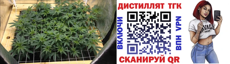 Дистиллят ТГК вейп с тгк  Купить где  Азнакаево 
